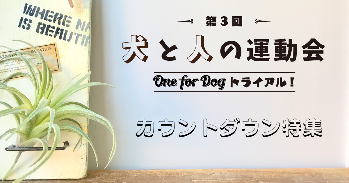 犬と人の運動会「第3回 One for Dog トライアル！」カウントダウン特集