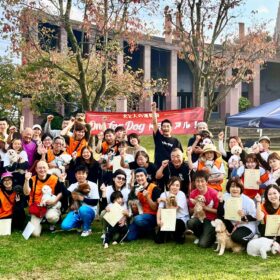 第2回 愛犬文化フェスを開催しました