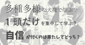 多種多様な犬種で学ぶ？1頭だけを集中して学ぶ？"自信"が付くのは果たしてどっち？