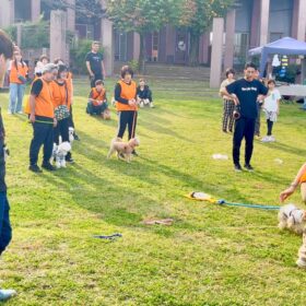 【What’s is the 愛犬文化フェス】犬と人の運動会編