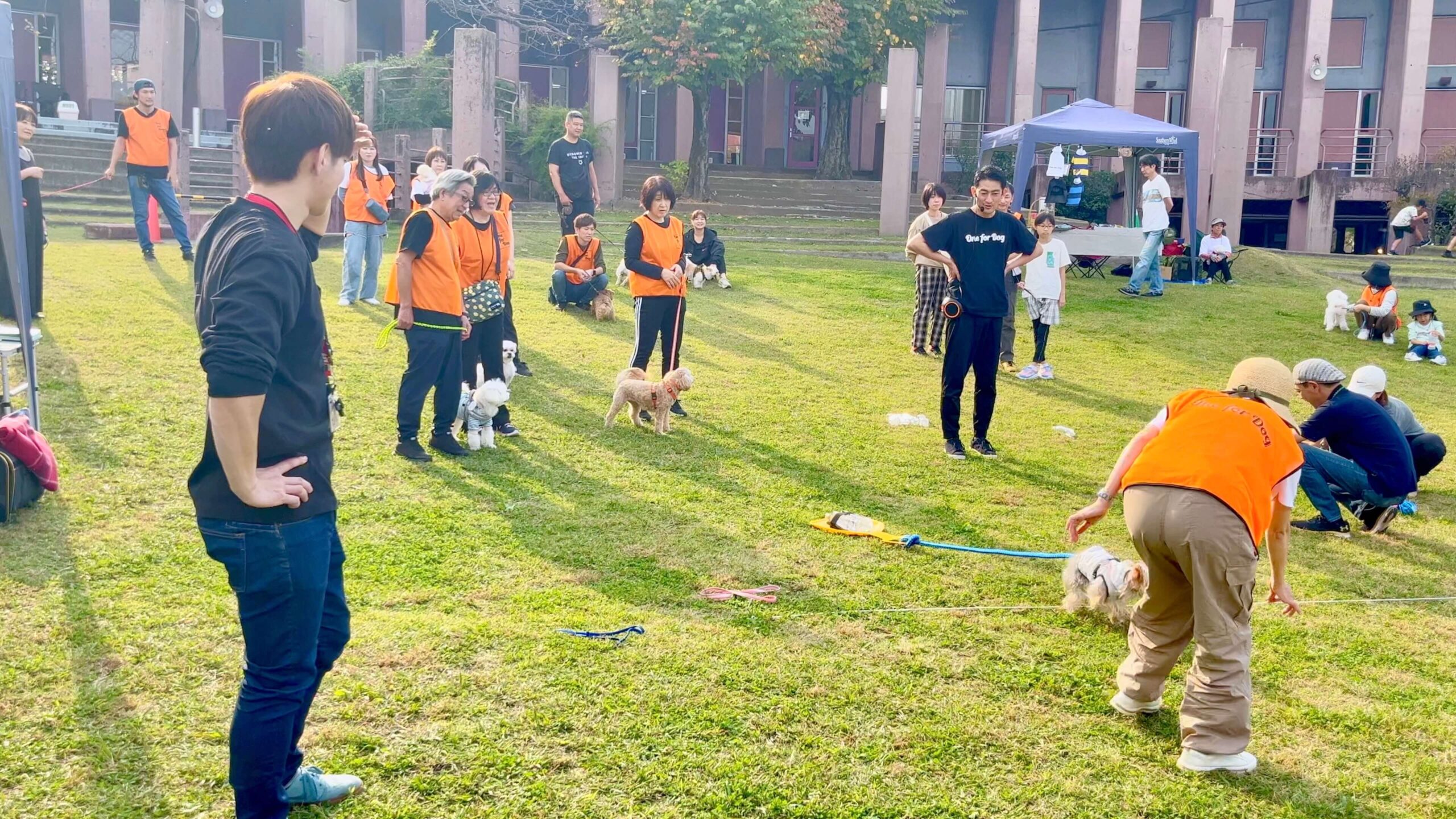 【What’s is the 愛犬文化フェス】犬と人の運動会編