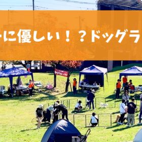 【愛犬文化フェス2024レポート】会場準備＆ふれあい広場編