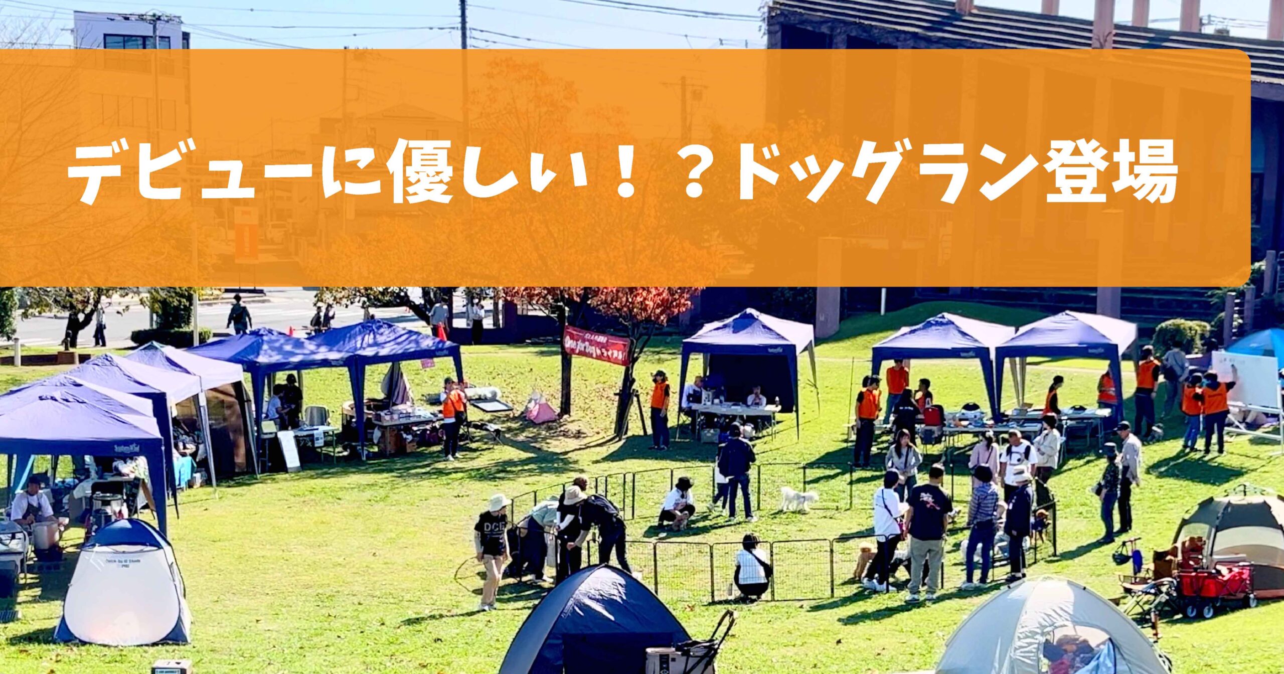 【愛犬文化フェス2024レポート】会場準備＆ふれあい広場編