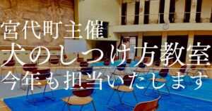 今年も担当いたします！自治体主催のしつけ教室