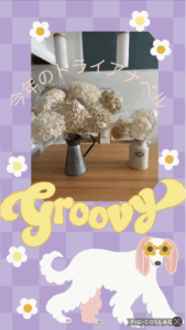 白や淡いグリーンのドライアナベルの花束をラッピングし、ブリキのピッチャーと陶器の花器に飾ったディスプレイ。