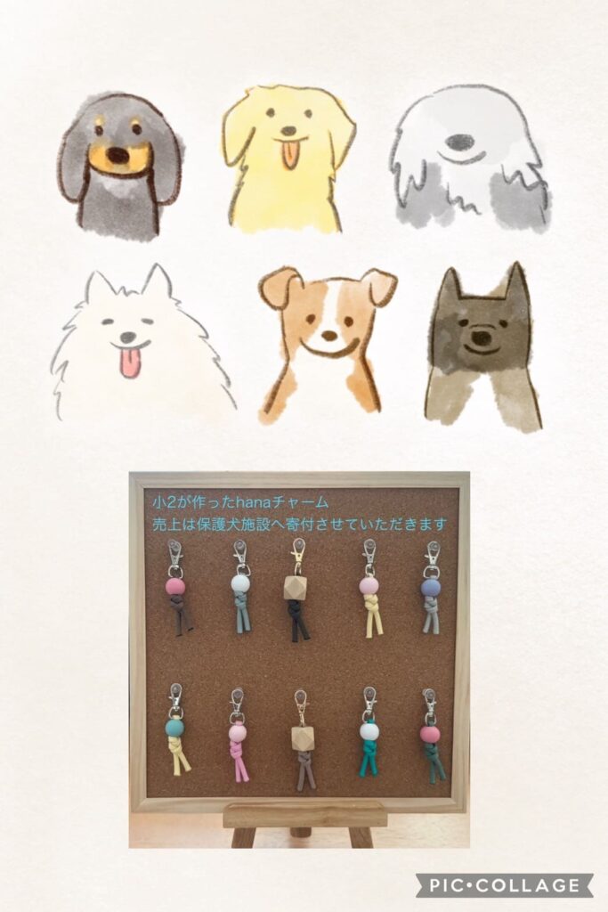 コルクボードに並べられたカラフルなチャーム。小学生が作った手作りのアクセサリーで、売上は保護犬施設へ寄付される。