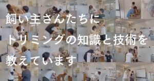 【困った！サロンの予約が取れない】飼い主さんに今、選ばれている“おうちトリミングレッスン”とは？