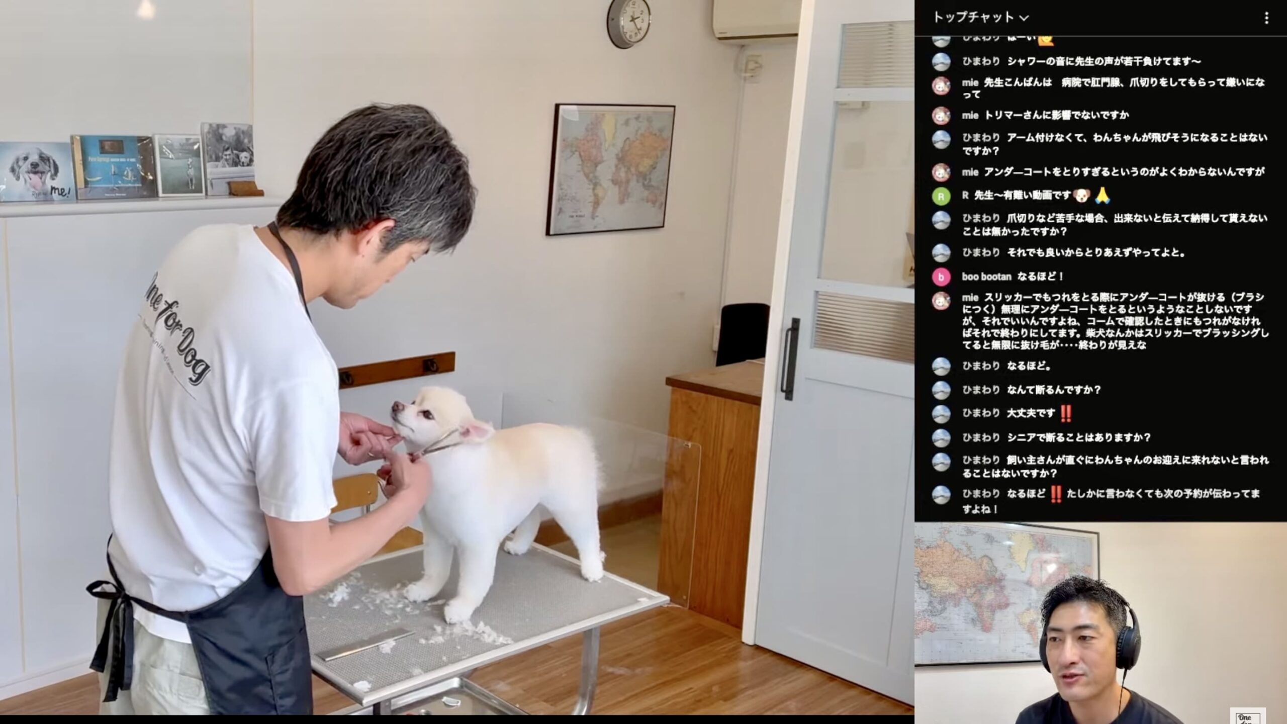 ポメラニアンの顔周りを丁寧にカットするプロトリマーの手元（密着バックヤード配信より）