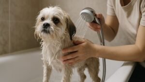 自己シャンプーをしている飼い主と犬の場面