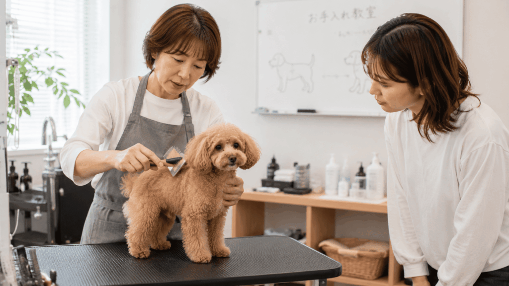 トリマーからブラッシングを学ぶ飼い主とトイプードル|犬のお手入れ教室の様子