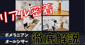 映像教材の密着バックヤード