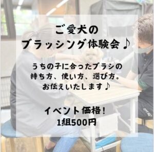 トリマーが飼い主と愛犬にブラッシングをレクチャーしている様子。体験会の案内ポスター