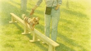 犬と人の運動会で競技に挑戦する犬と飼い主