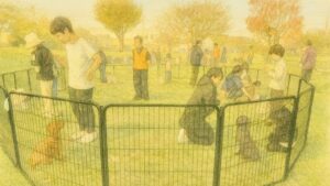 しつけ教室のミニレクチャーで子犬と接する参加者