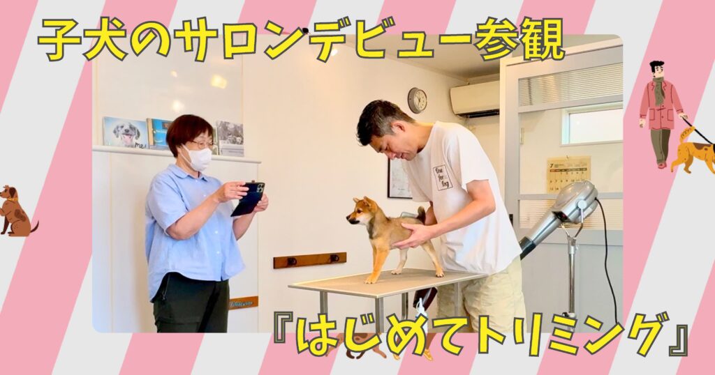 子犬のサロンデビュー参観。マスク姿の飼い主がスマホで撮影しながら、トリマーが柴犬の子犬をトリミング台に立たせている場面