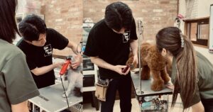 トリマー勉強会で若手スタッフに犬のお手入れを指導する様子