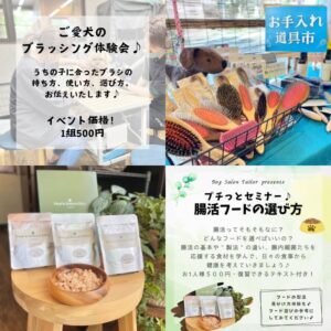 愛犬のためのお手入れ体験イベント紹介。ブラッシング体験会や犬用ブラシ販売のお手入れ道具市、腸活フードの選び方セミナー、試食用フード展示などが並ぶドッグイベントの案内。