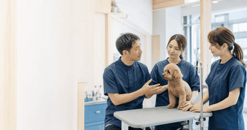 愛犬を囲みながらスタッフへ接客やケア方法を伝えるトリミングサロンオーナー