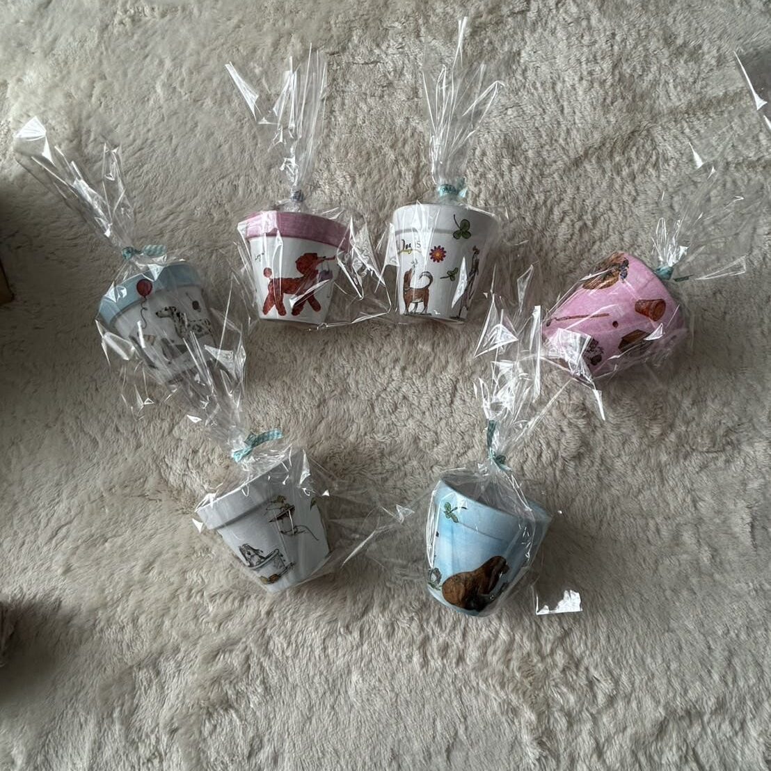 犬のイラストが描かれたデコパージュ鉢が6つ並び、透明のラッピングで包まれている様子。