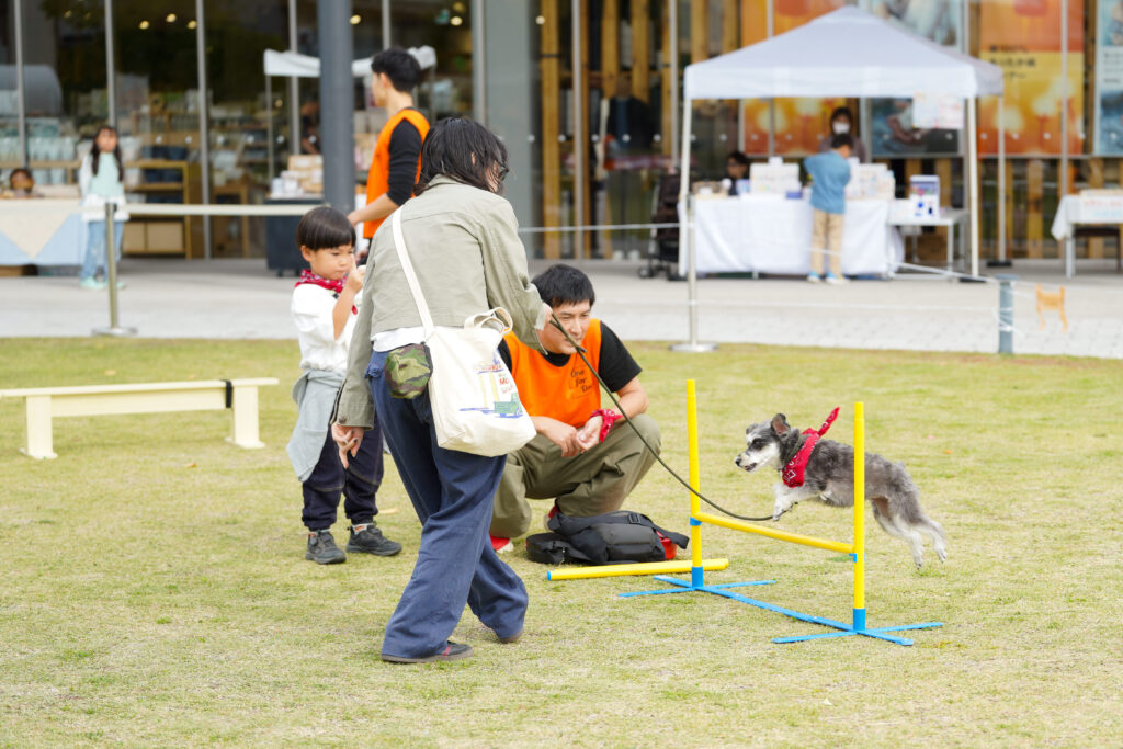 屋外広場で、犬が小さなハードルをジャンプしている様子。飼い主とスタッフが近くで見守りながら声をかけている。
