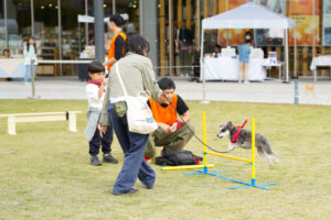 屋外広場で、犬が小さなハードルをジャンプしている様子。飼い主とスタッフが近くで見守りながら声をかけている。