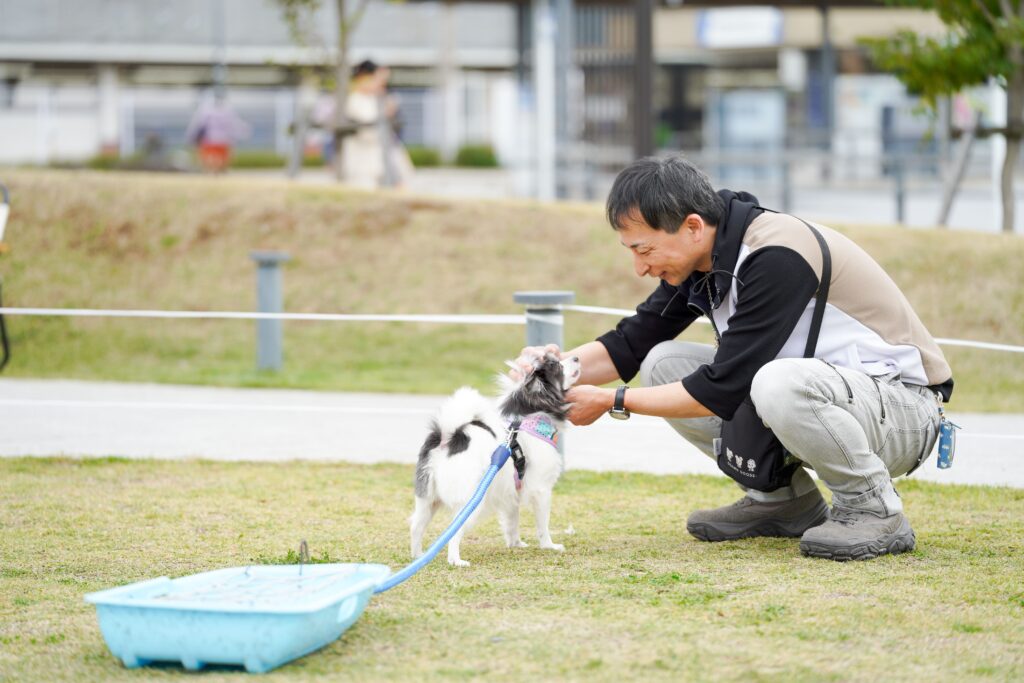 小型犬が青いソリを引く「犬ぞり」競技に挑戦中。しゃがんだ男性が犬を励ましながら撫でている。