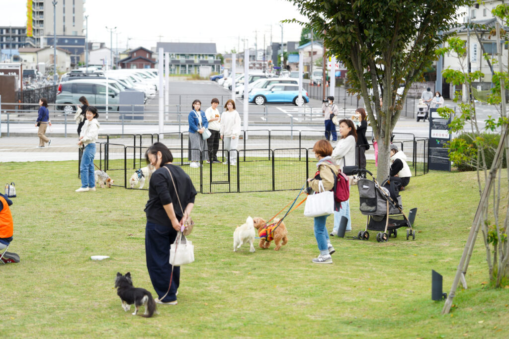 ふれあい広場のドッグランエリアで、リードを持つ飼い主たちと犬たちがのびのびと交流している様子。背景には見学者も多数。