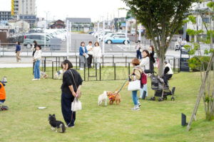 ふれあい広場のドッグランエリアで、リードを持つ飼い主たちと犬たちがのびのびと交流している様子。背景には見学者も多数。