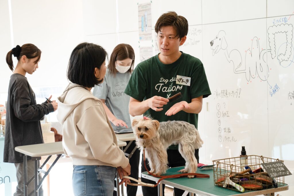 屋内のイヌの学び舎会場で、トリマーが飼い主にブラッシングの方法を実演している。テーブルの上にはヨークシャーテリアが立っており、ホワイトボードには腸や毛の構造図。