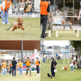 第5回 愛犬文化フェスの屋外会場で行われた「犬と人の運動会」の様子。芝生広場で飼い主と愛犬がジャンプやハードルなどの競技を楽しみ、ボランティアスタッフがサポートしている。無印良品 東武動物公園駅前店の前に、多くの家族と犬たちが集い、にぎやかに交流している光景。