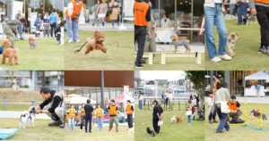 第5回 愛犬文化フェスの屋外会場で行われた「犬と人の運動会」の様子。芝生広場で飼い主と愛犬がジャンプやハードルなどの競技を楽しみ、ボランティアスタッフがサポートしている。無印良品 東武動物公園駅前店の前に、多くの家族と犬たちが集い、にぎやかに交流している光景。