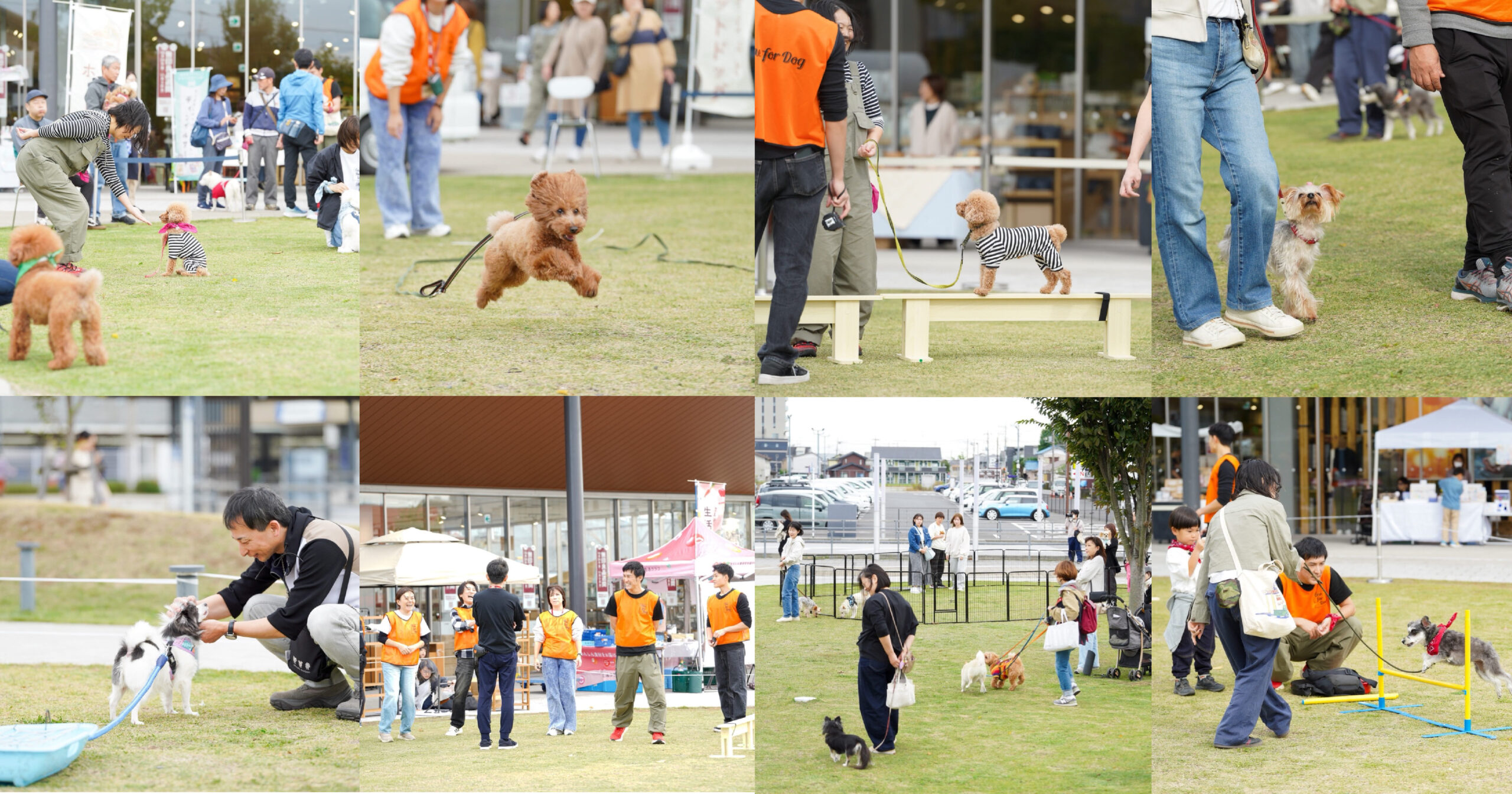 第5回 愛犬文化フェスの屋外会場で行われた「犬と人の運動会」の様子。芝生広場で飼い主と愛犬がジャンプやハードルなどの競技を楽しみ、ボランティアスタッフがサポートしている。無印良品 東武動物公園駅前店の前に、多くの家族と犬たちが集い、にぎやかに交流している光景。