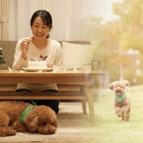 クリスマスパーティの中で眠っている愛犬と、心の中では飼い主さんと芝生を走り回っている様子を対比したイメージ