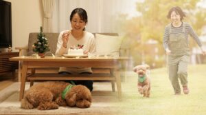 クリスマスパーティの中で眠っている愛犬と、心の中では飼い主さんと芝生を走り回っている様子を対比したイメージ