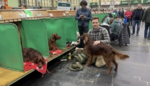 ドッグショー会場のバックヤードで出番を待つ犬とハンドラーが落ち着いて準備をしている様子