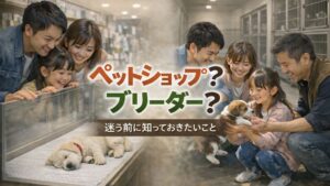 犬を飼う前にペットショップとブリーダーの違いを考えるためのイメージ