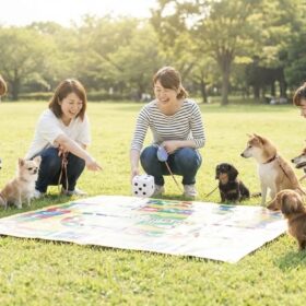 芝生の上で飼い主と愛犬が集まり、すごろく形式のゲームを楽しんでいる様子