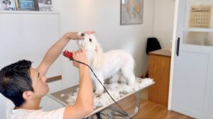 ペット用バリカン 使い方｜口元を支えながら安全に刈っている場面