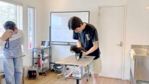 子犬のトリミングを家族が見学する「はじめてトリミング」の実演風景｜One for Dog