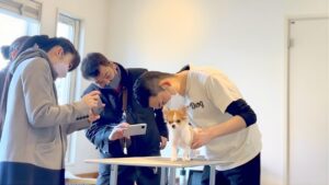 飼い主とトリマーが小型犬をトリミング台の上で一緒に確認しているお手入れ教室の様子