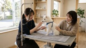 ワクチン前の子犬が飼い主同席でトリミング体験する様子