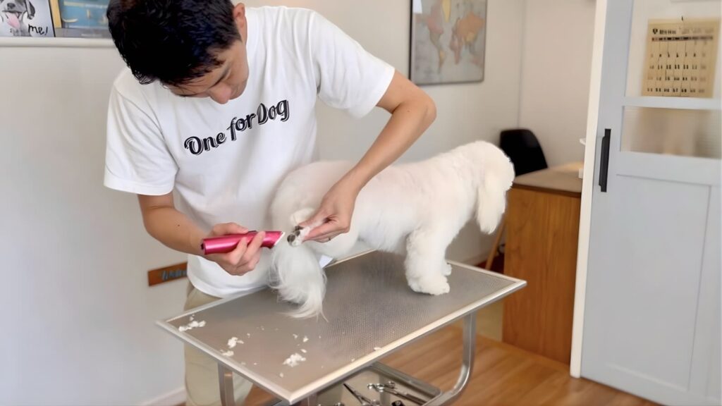 ペット用バリカン 使い方|足裏を持ち上げ逆目で刈っている正しい方向