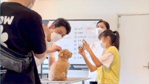 家族で参加するお手入れ教室で子どもが愛犬のケアを体験している様子