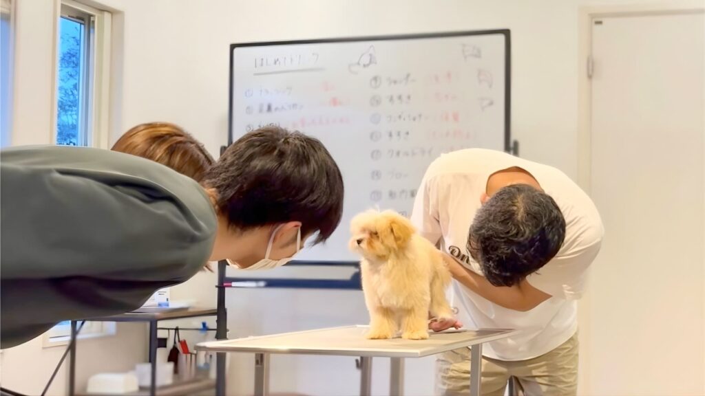 ホワイトボードの前で子犬の体の触り方をレクチャーするお手入れ教室の風景