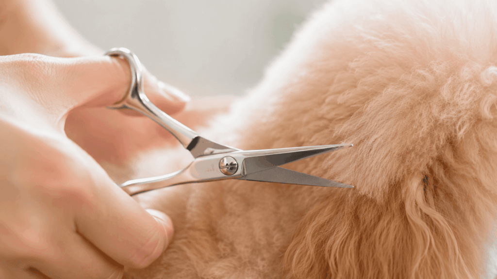 トリミングシザーの刃先だけを使い、犬の毛先を丁寧に少量カットしている超寄りの描写。皮膚から距離を保ちながら安全に整えている様子が伝わる、繊細で清潔感のあるカット。