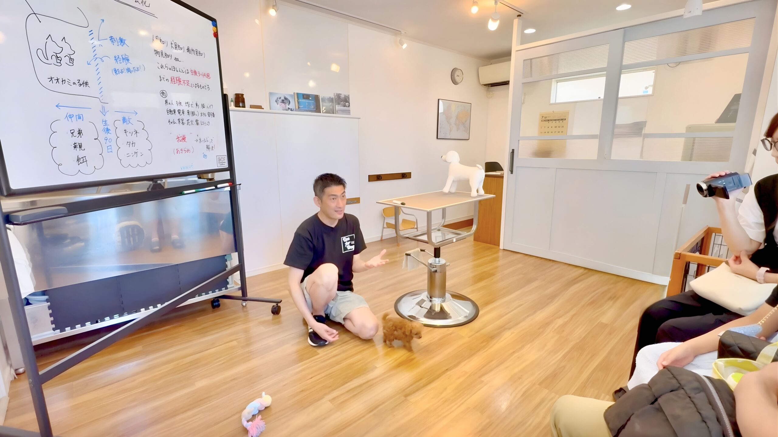 子犬のしつけ教室でマンツーマン指導を行う様子