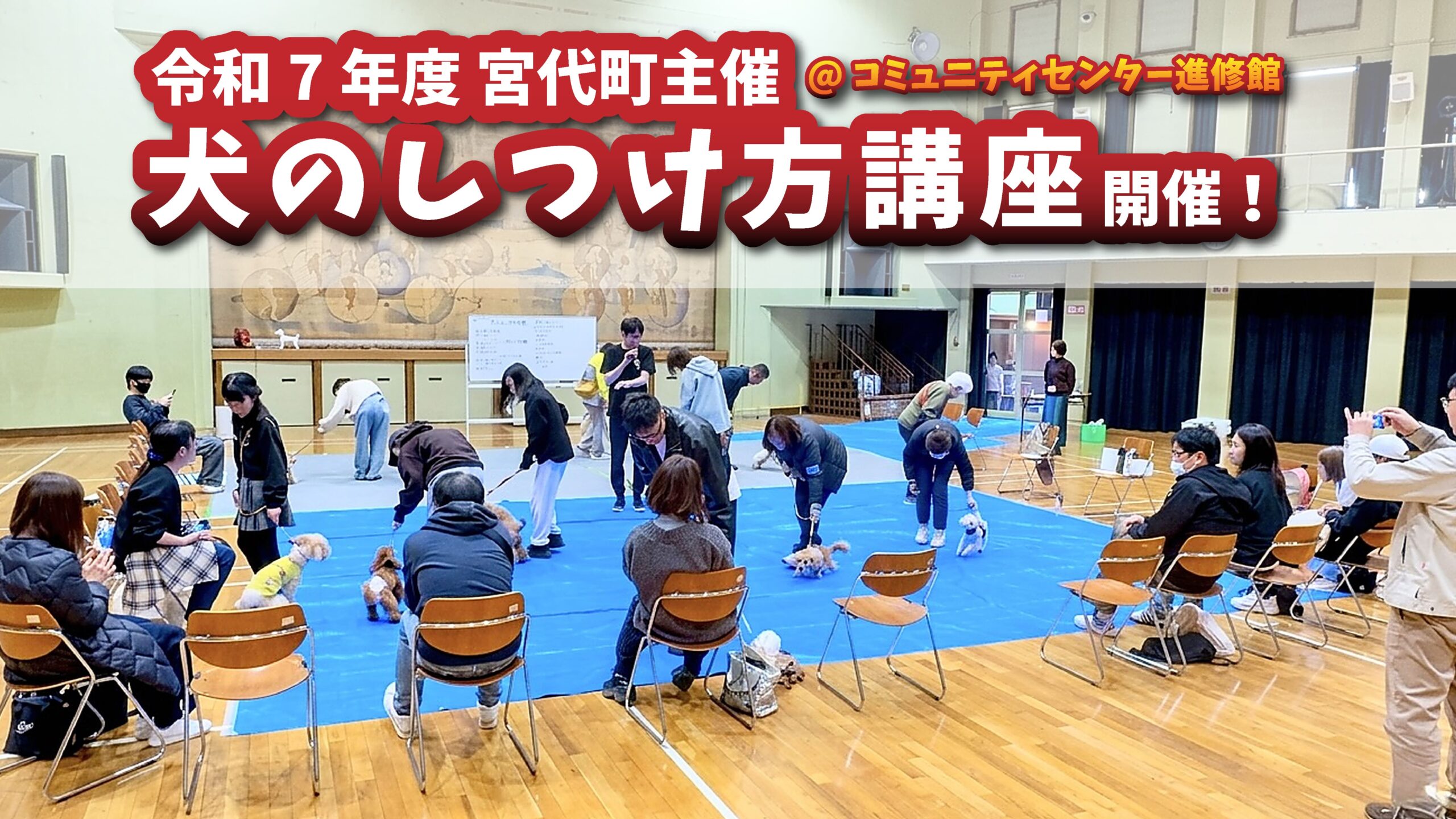 宮代町主催の犬のしつけ方講座の様子。体育館内で飼い主と犬が一緒にトレーニングを行い、円形に配置された中で指導を受けている風景