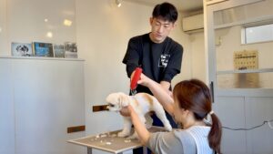 犬のお手入れ教室でバリカンを学ぶ飼い主とトリマー