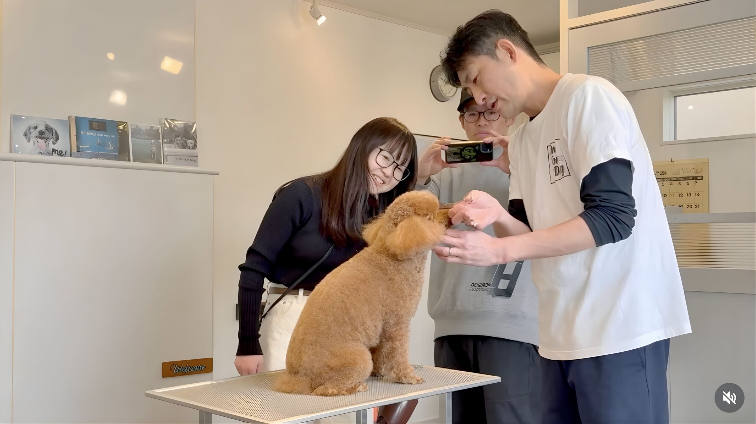 犬のお手入れ教室でトリミングの方法を学ぶ飼い主