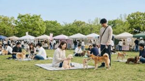 芝生広場に多くの飼い主と愛犬が集まる春のドッグイベント会場。テントブースが並び、青空の下で交流を楽しむ様子。